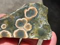 64g ‘Cloud’ Ocean Jasper Polished Freeform 2B