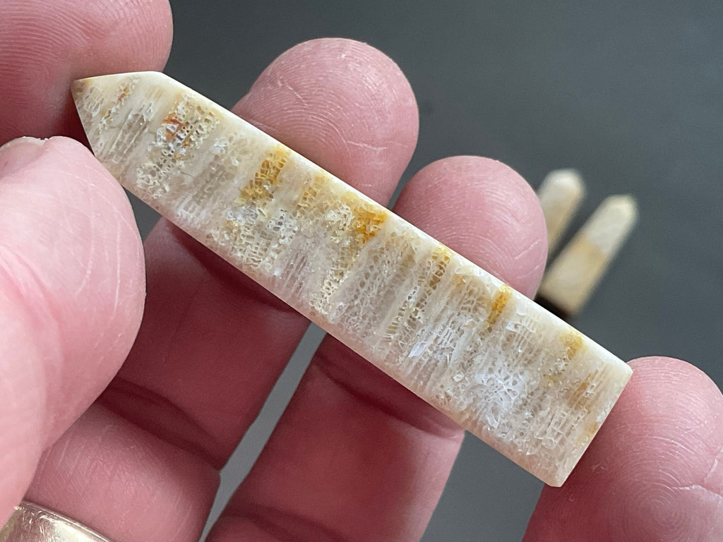 24g Fossilised Coral Generator 1A
