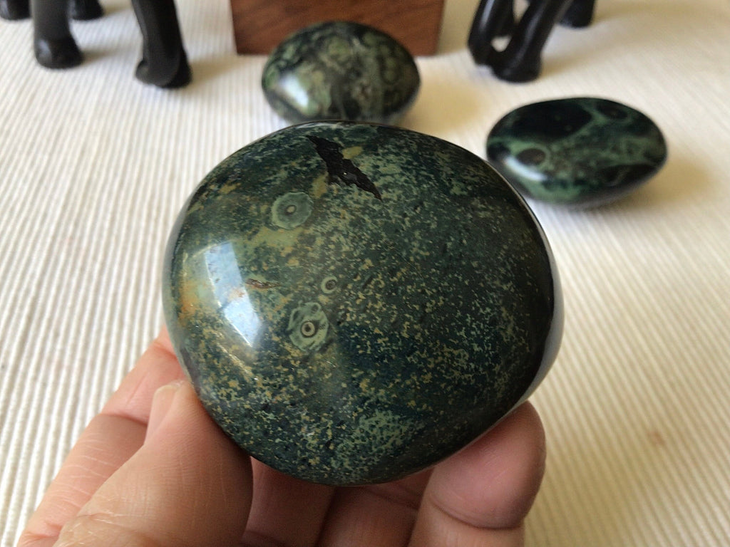 173g Kambaba Jasper Palmstone 4B