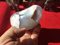 310g Orca Agate Freeform 4A