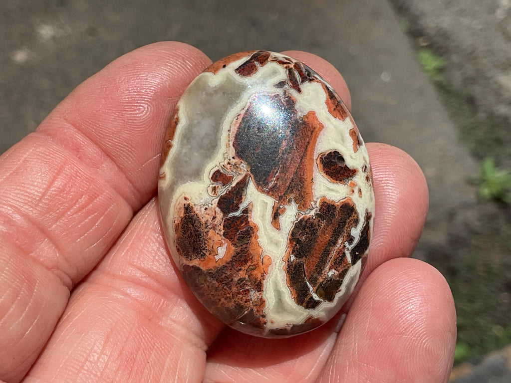 18g “Money Agate” Thumb Stone