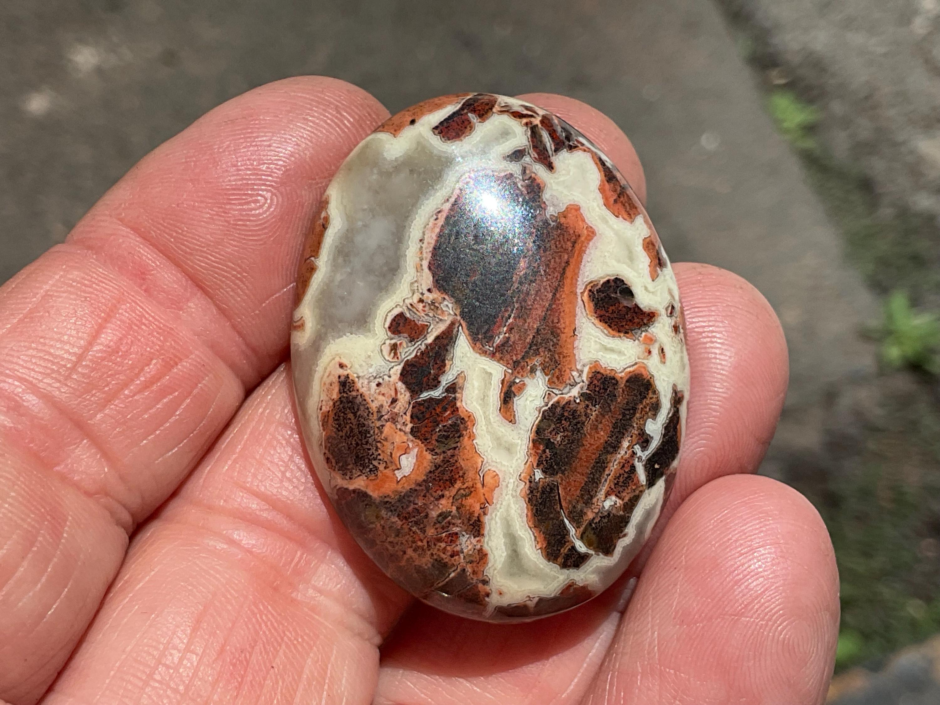 18g “Money Agate” Thumb Stone