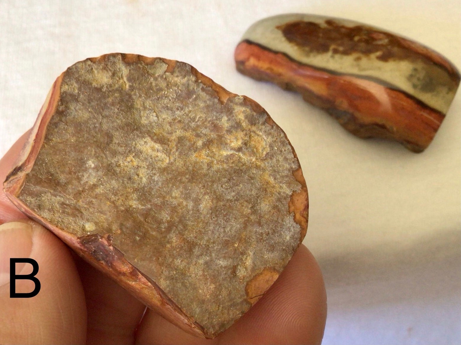 Polychrome Jasper One Side Polished Palmstone Group 9