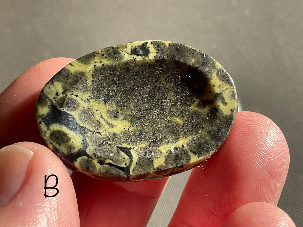 Pakistan Snakeskin Jasper Thumb Stone Group 6