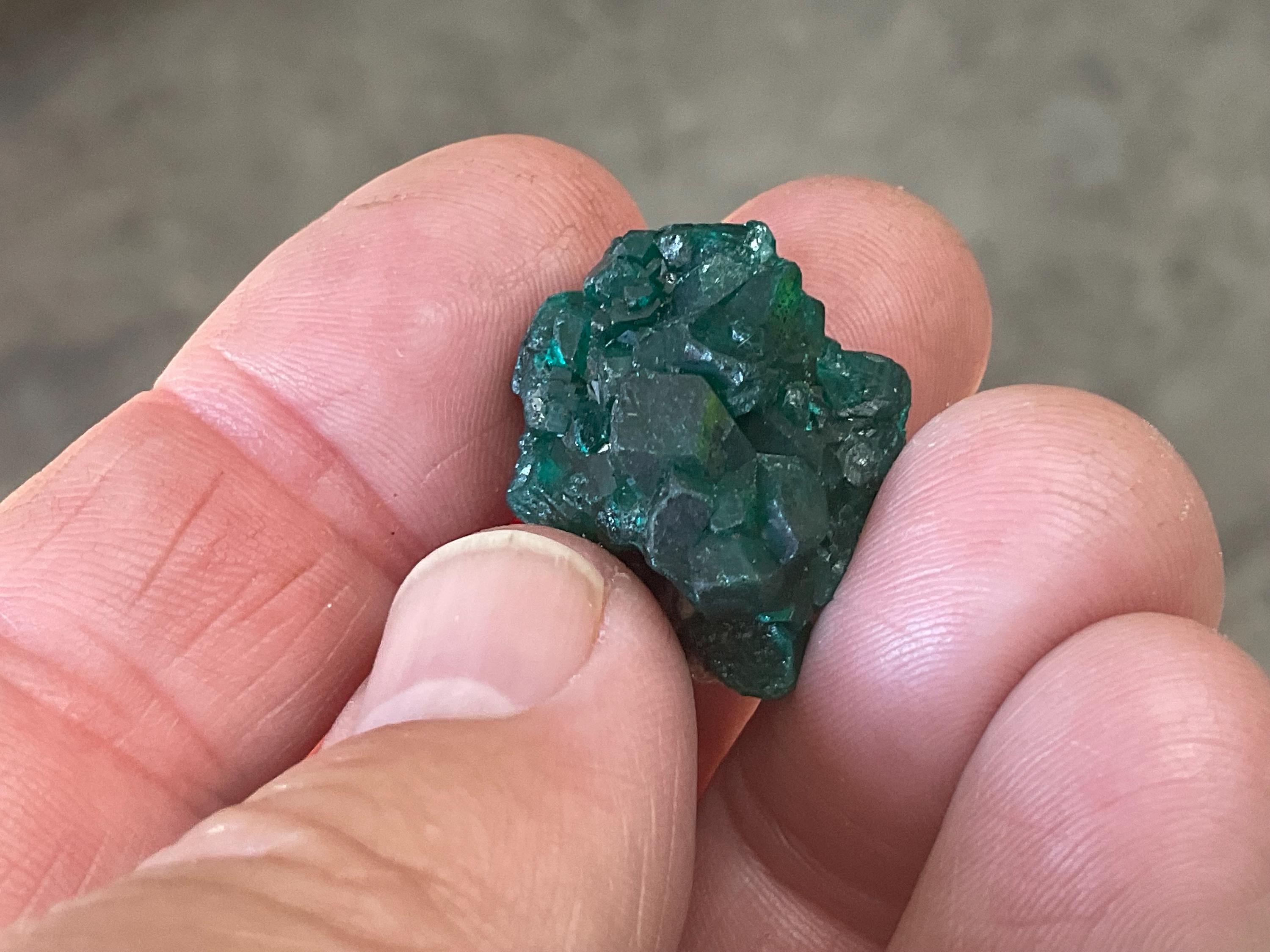 8g Congolese Dioptase Specimen 6B