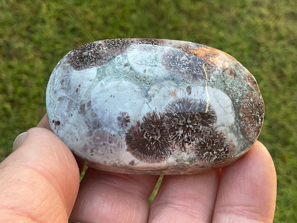 80g Green Cherry Blossom Jasper Palmstone 6C