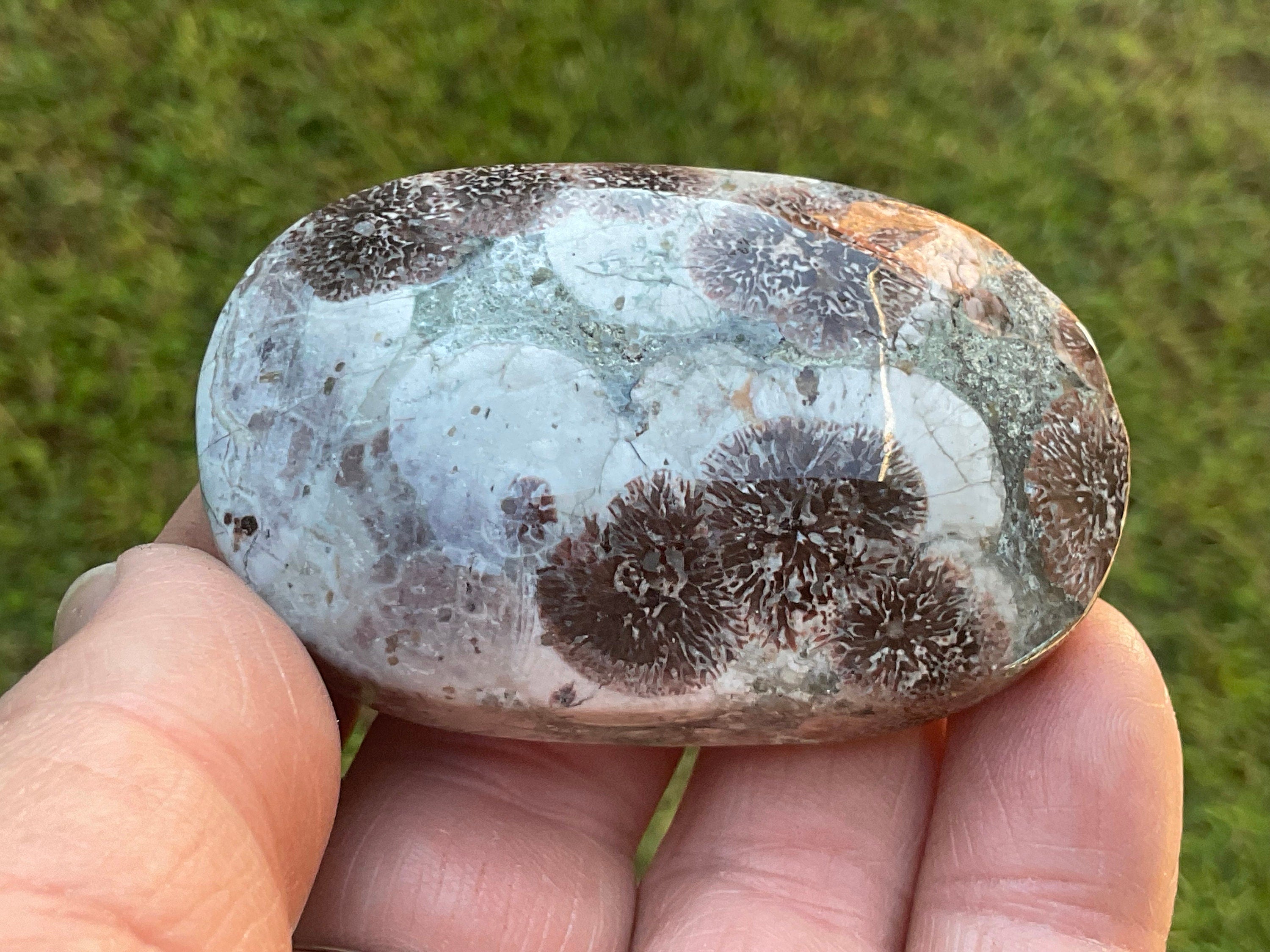80g Green Cherry Blossom Jasper Palmstone 6C