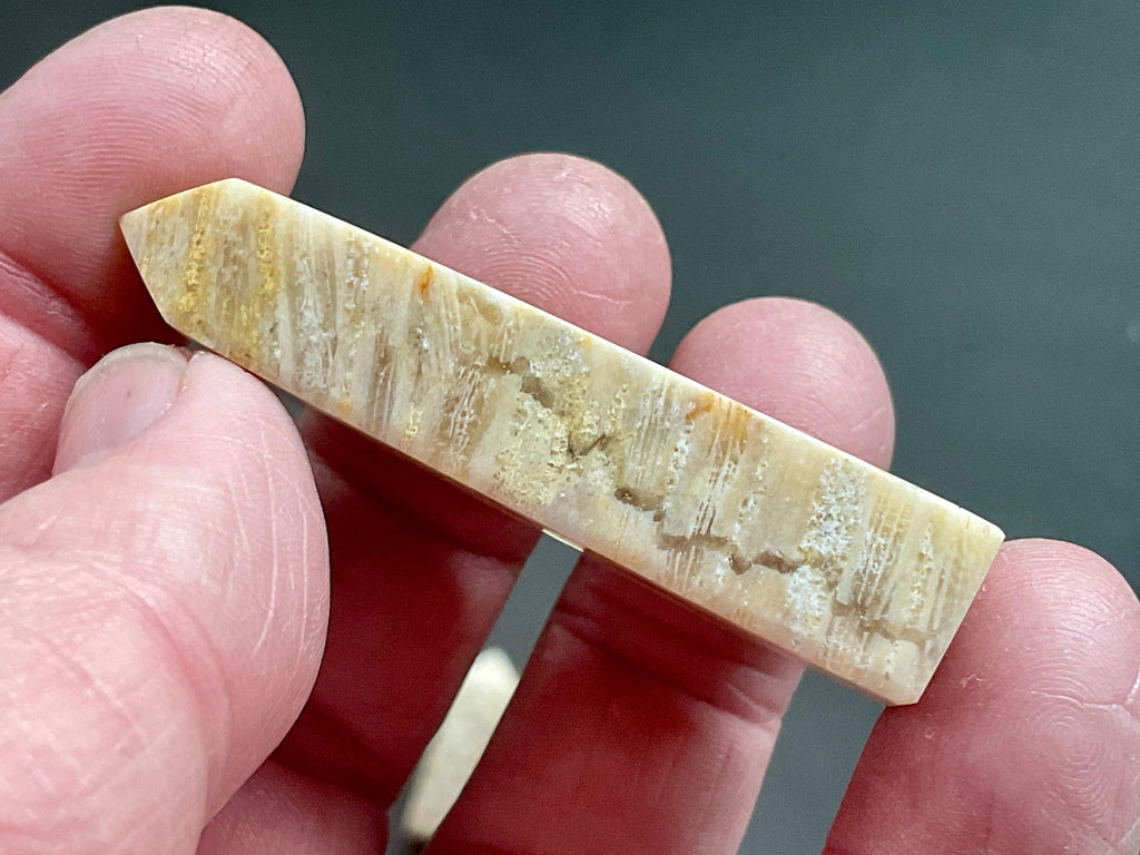 28g Fossilised Coral Generator 2A