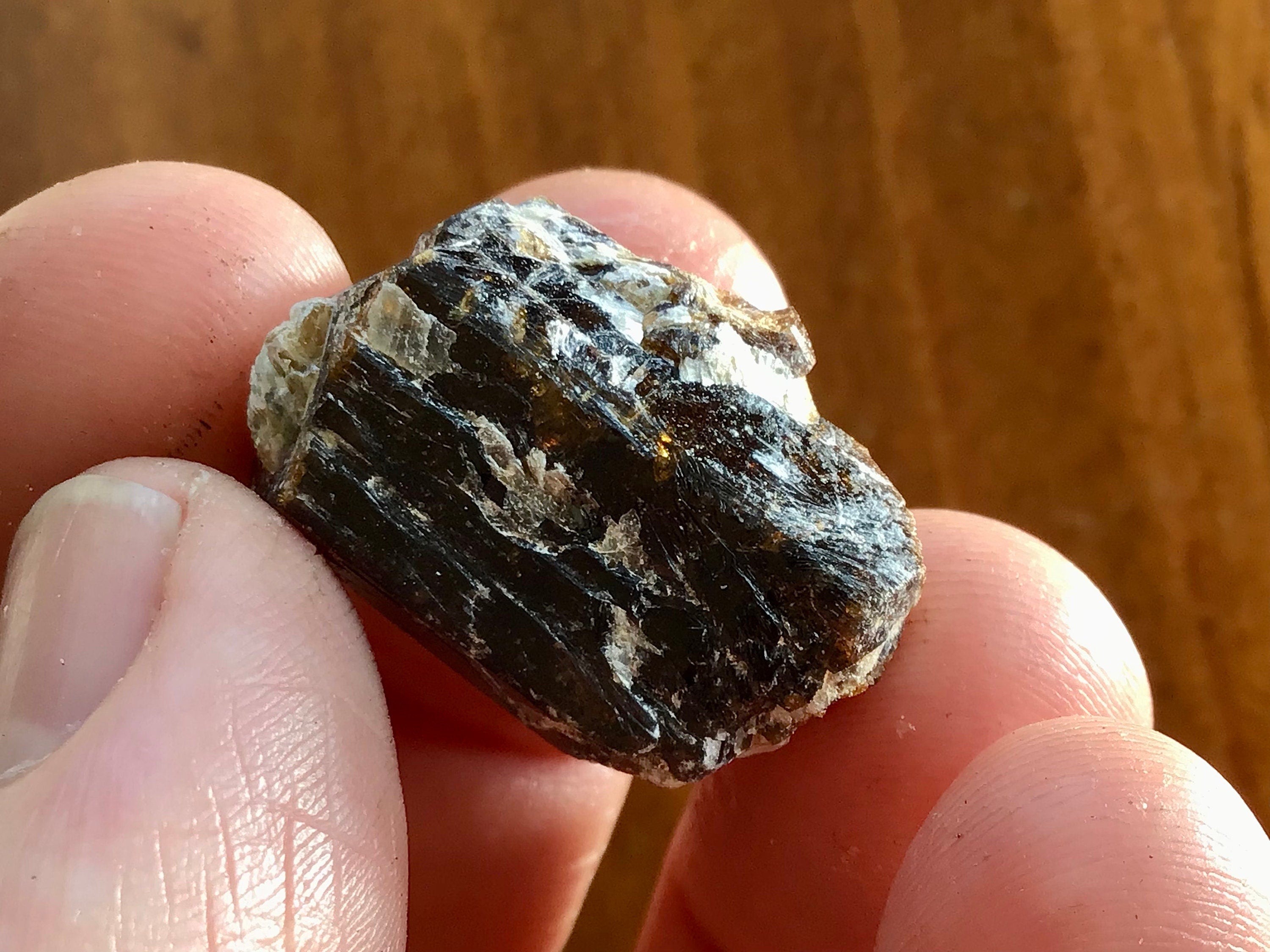 11g Yinnietharra Dravite Specimen 14C