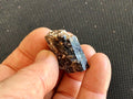 20g Yinnietharra Dravite Specimen 15D