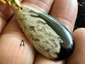 Indonesian Fossilised Palm Tree Pendants  3A
