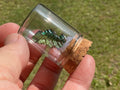 Bismuth Specimen Display Bottle 1A