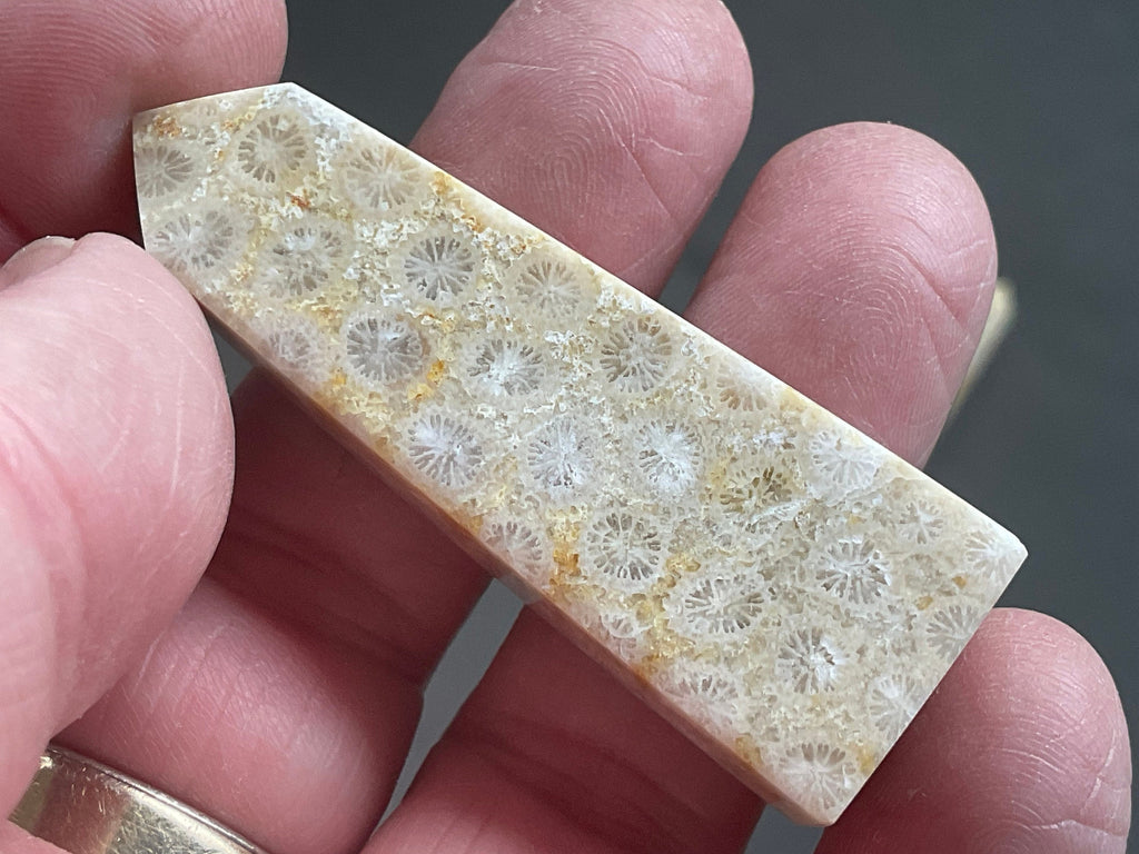 24g Fossilised Coral Generator 1A