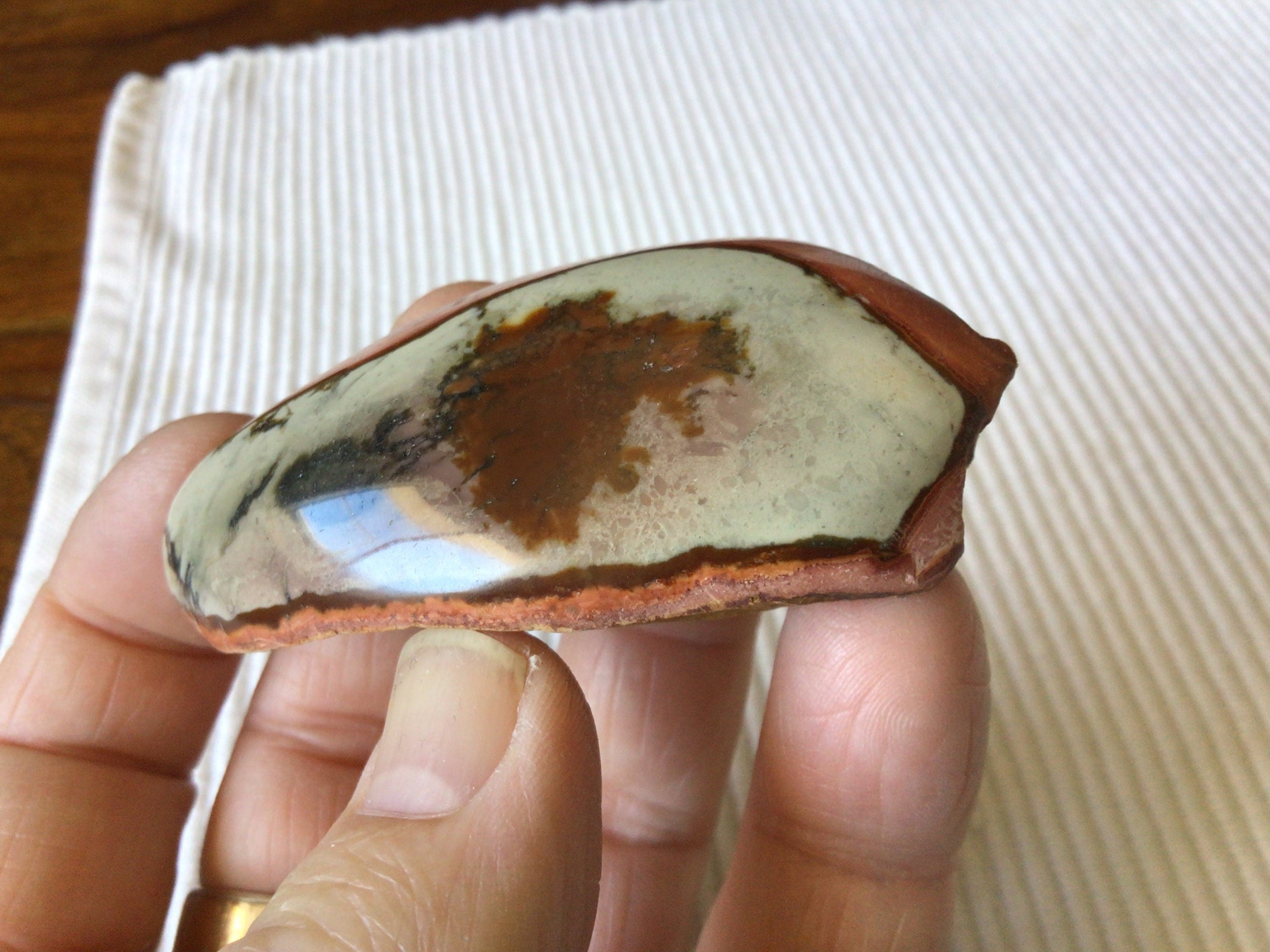 50g Polychrome Jasper One Side Polished 11B