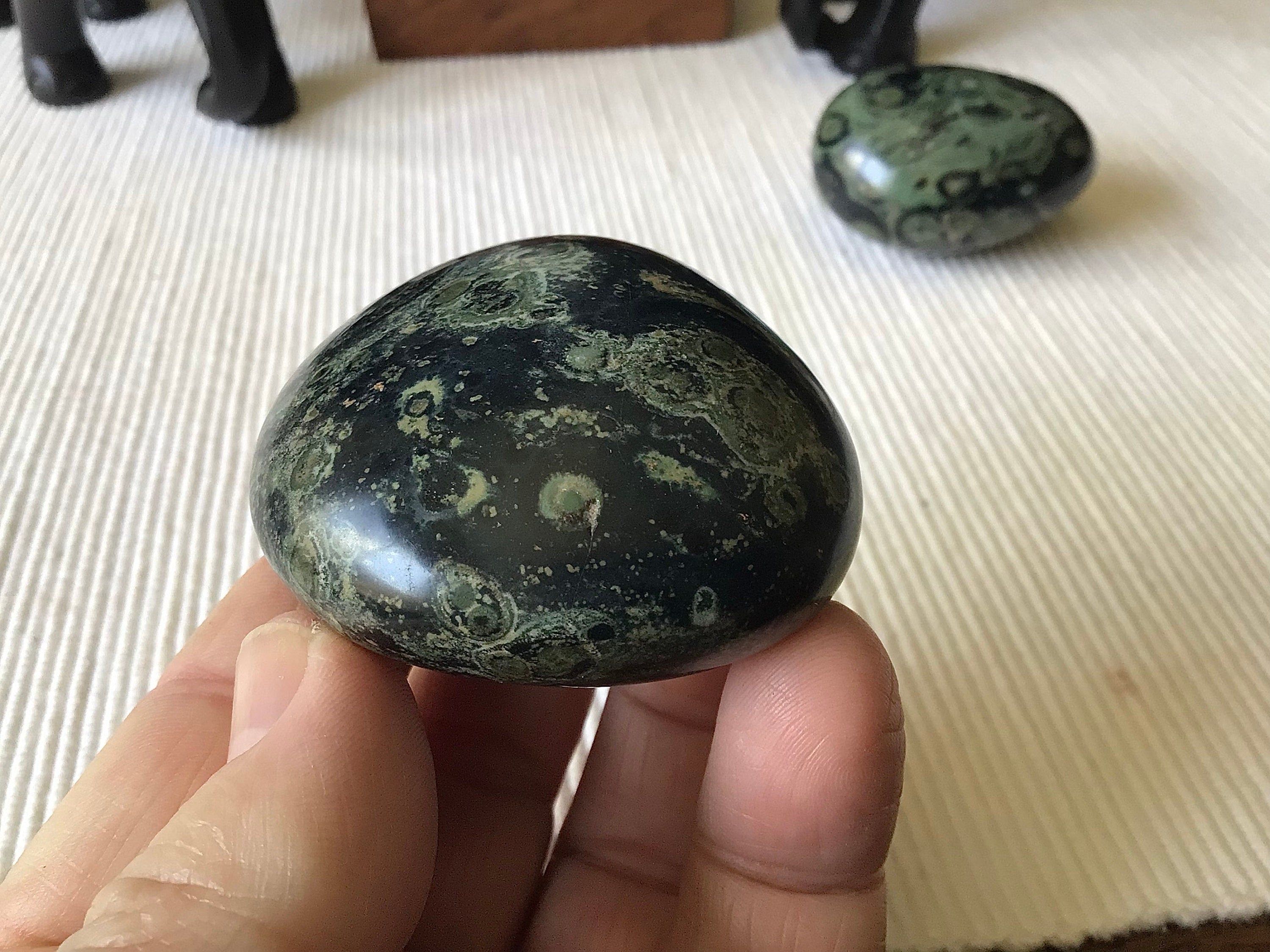 119g Kambaba Jasper Palmstone 3C