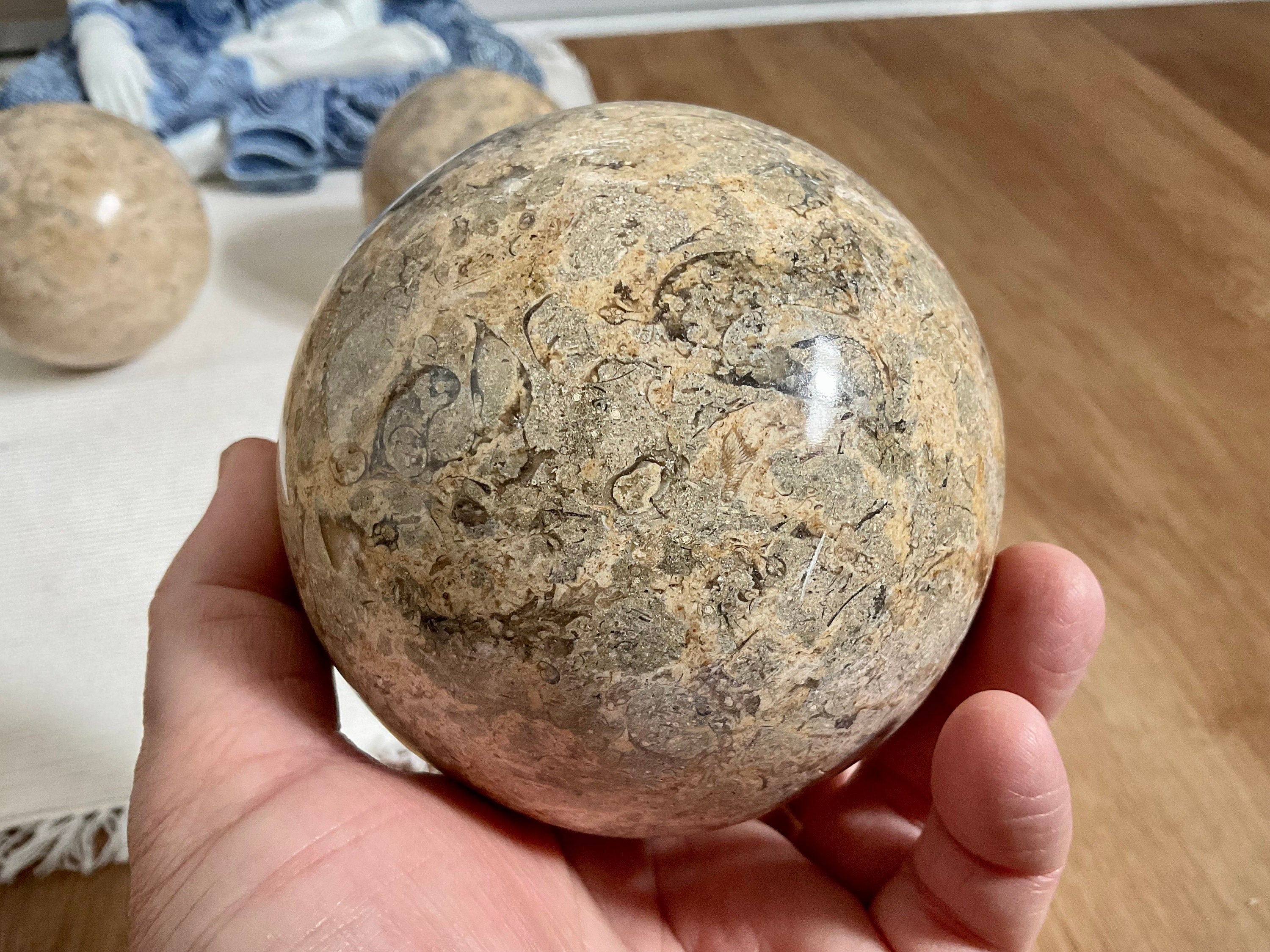 1340g XL Fossilised Ocean Floor Sphere A