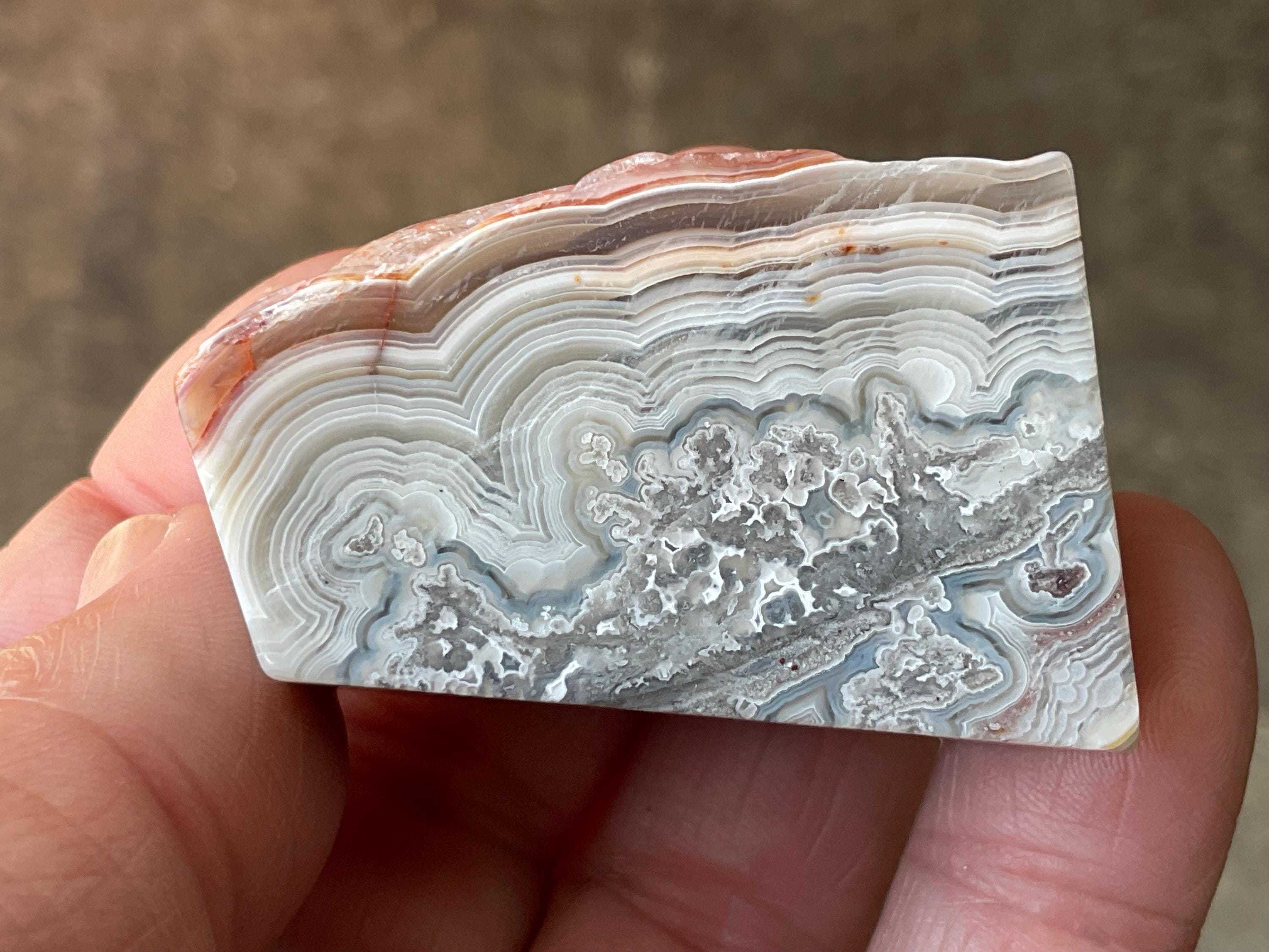 74g Mexican Crazy Lace Agate Freeform 19B