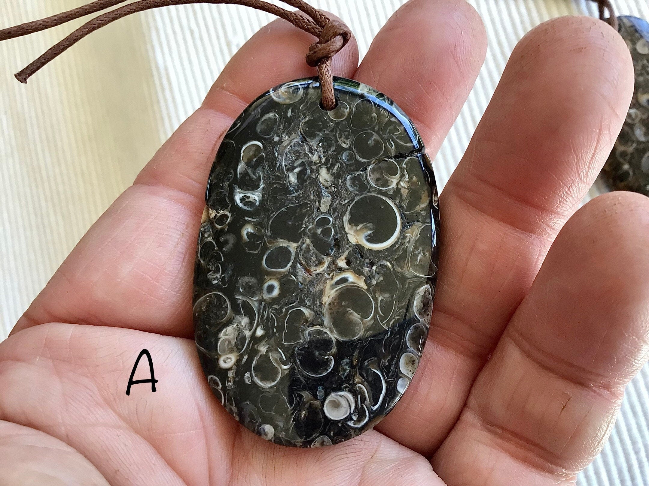 Large Turitella Agate Polished Pendant 1A