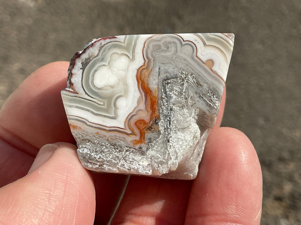48g Mexican Crazy Lace Agate Freeform 17C