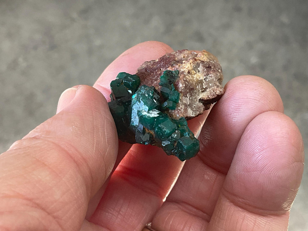 26g Congolese Dioptase Specimen 9A