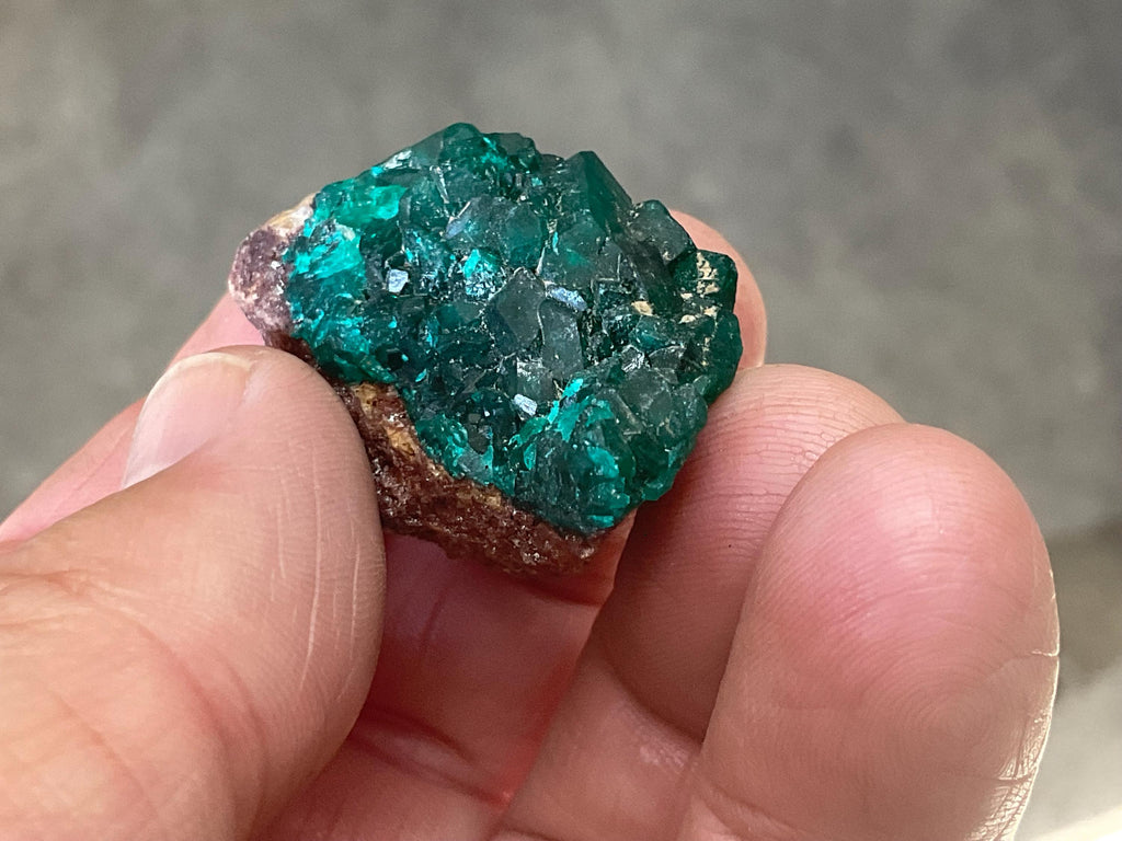22g Congolese Dioptase Specimen 9B