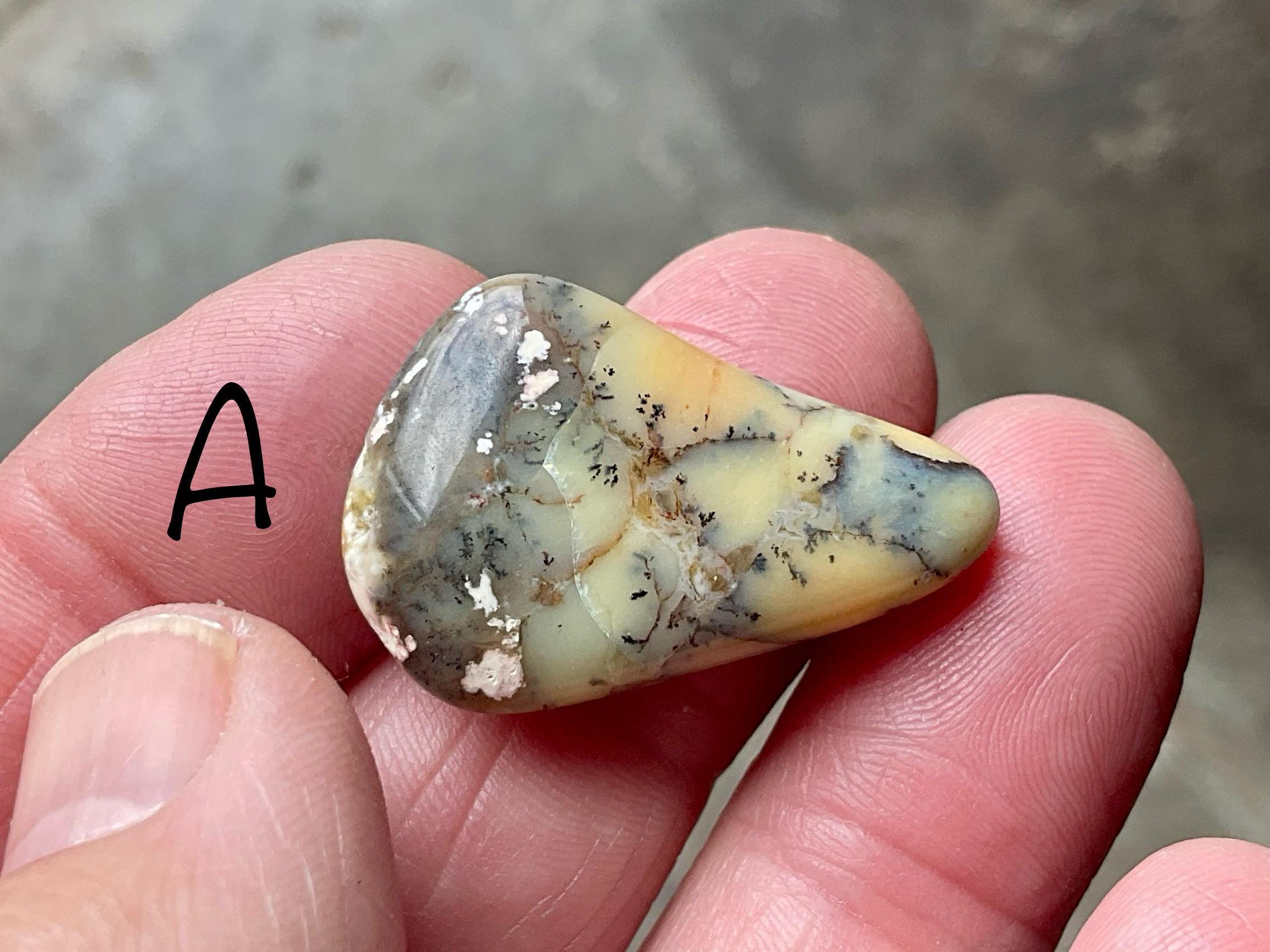 Yellow/Green Western Australian Dendritic Opalite Flat Stone Group