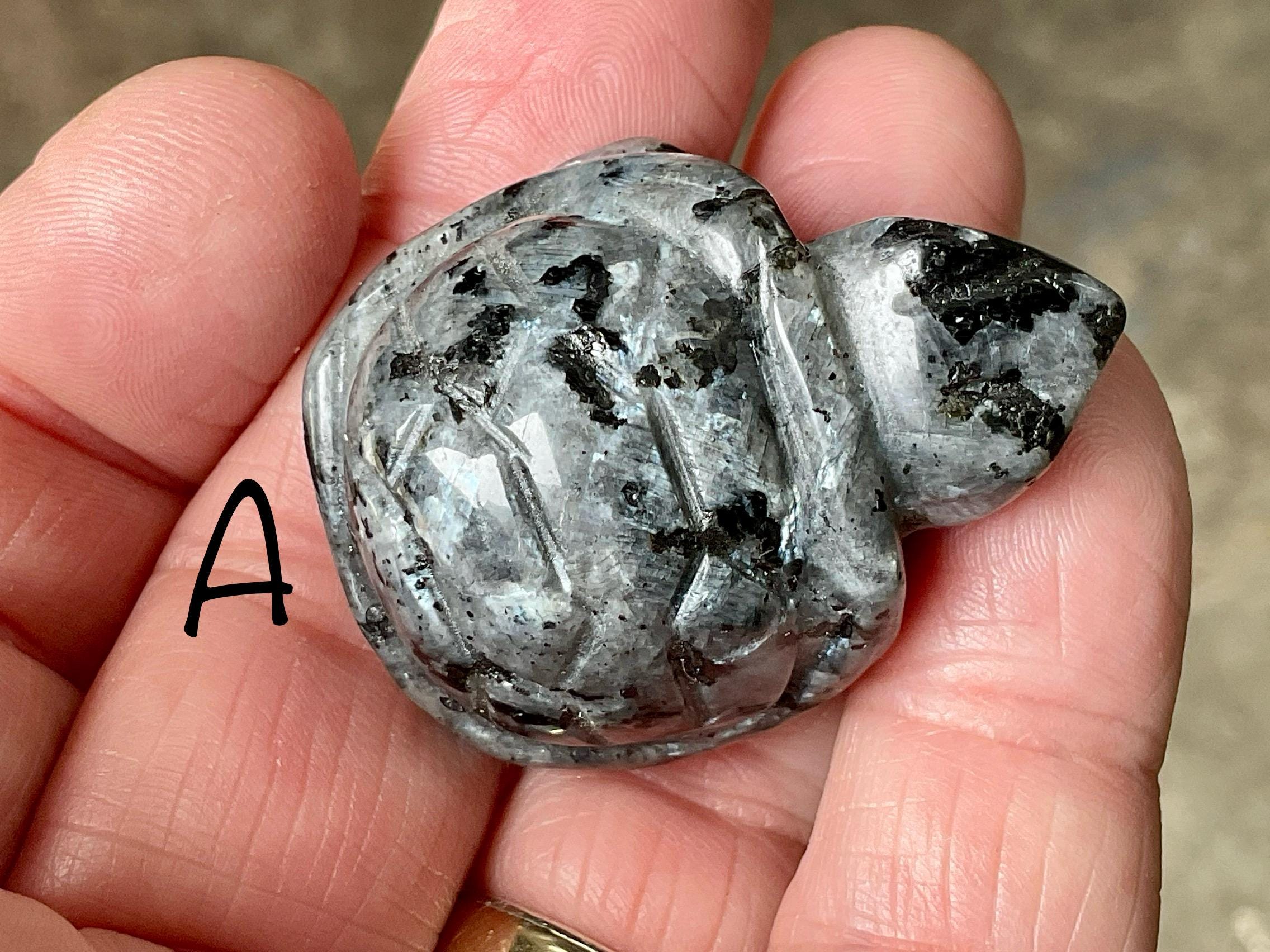 Larvikite Small Turtle Group 2