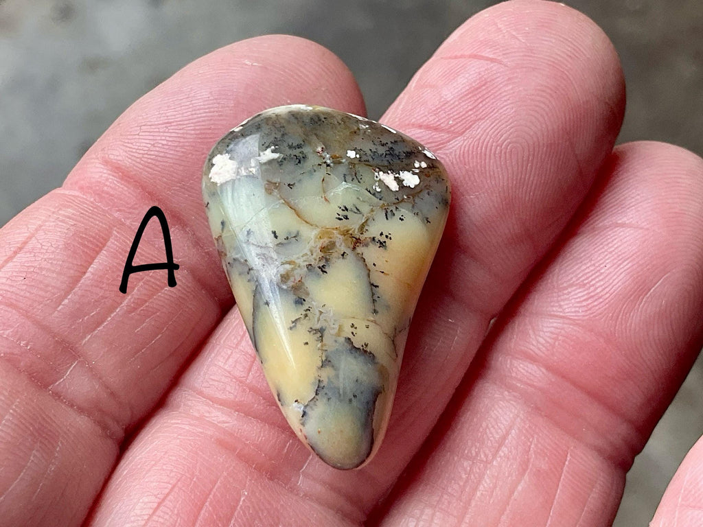 Yellow/Green Western Australian Dendritic Opalite Flat Stone Group