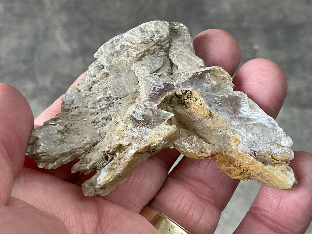 34g “Garden Selenite” Specimen 1B