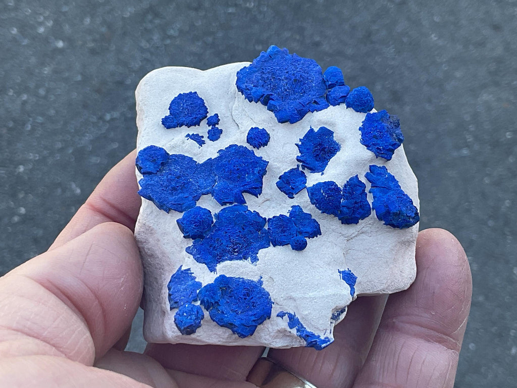 120g Azurite ‘Suns’ on Kaolinitic Matrix from Malbunka