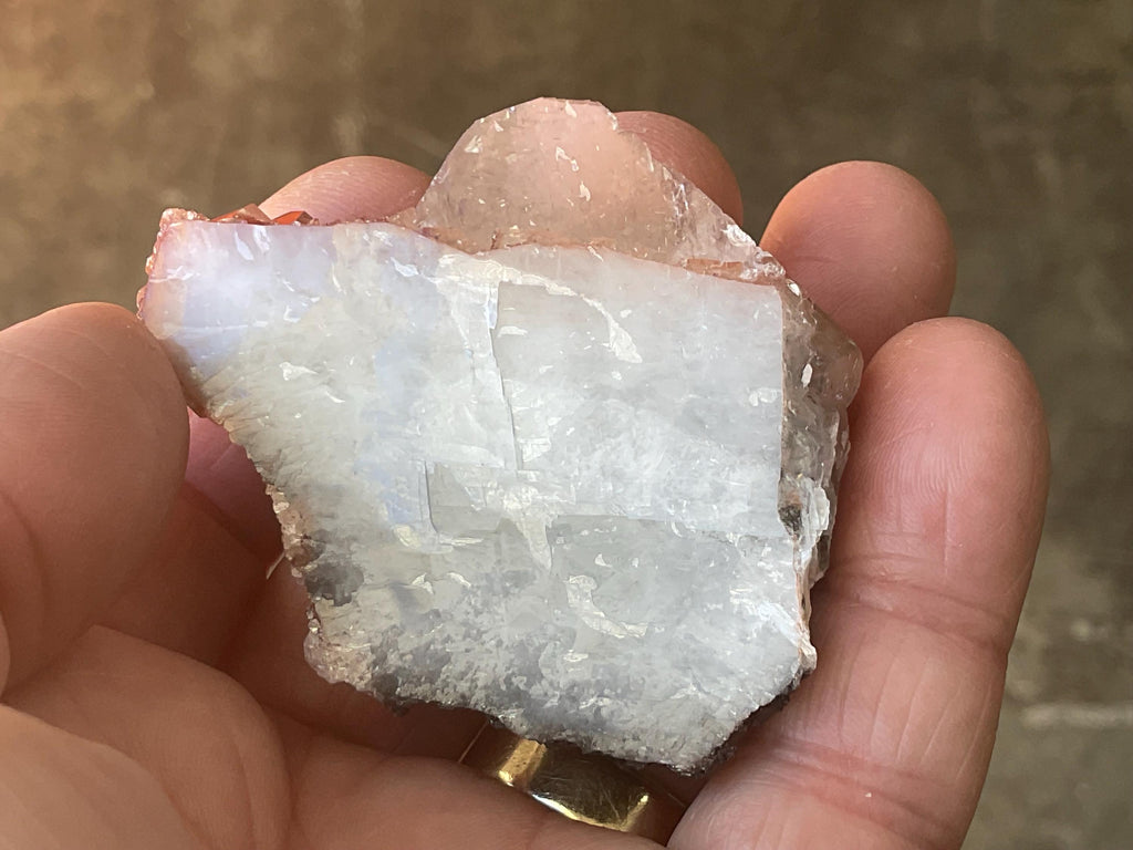 48g “Chocolate Calcite” Specimen 1B from China