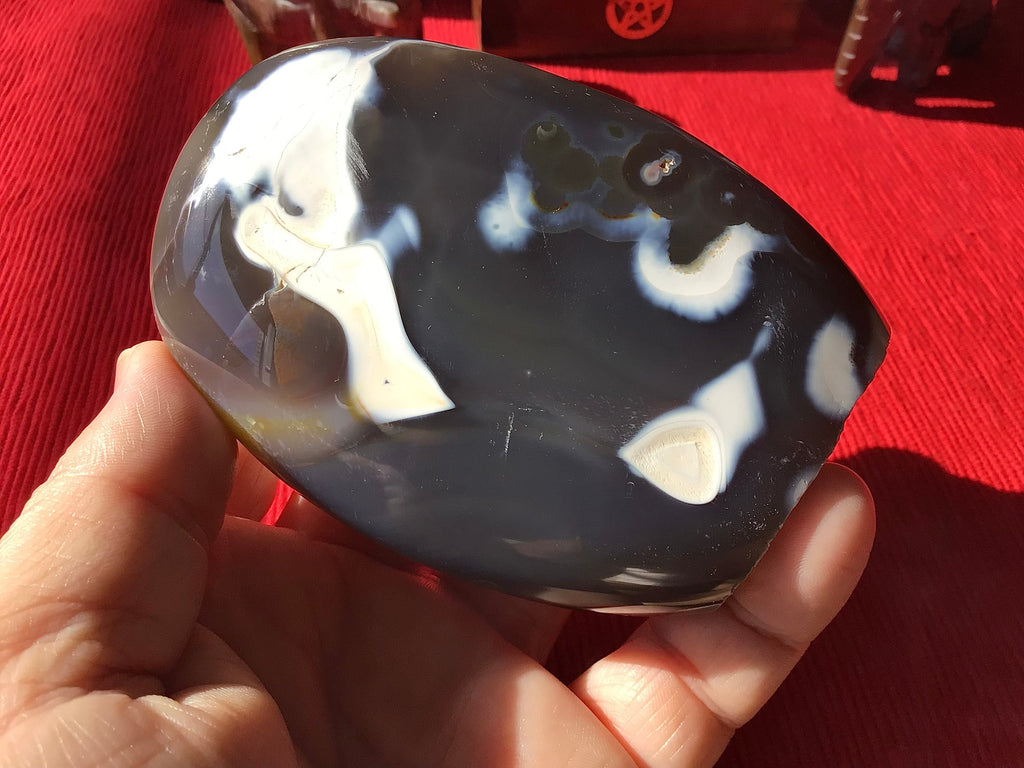 402g Orca Agate Freeform 4B