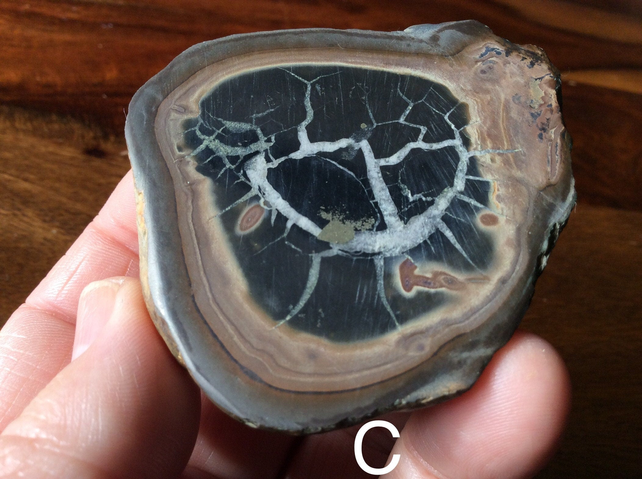 149g Moroccan Septarian Nodule (complete) 5C