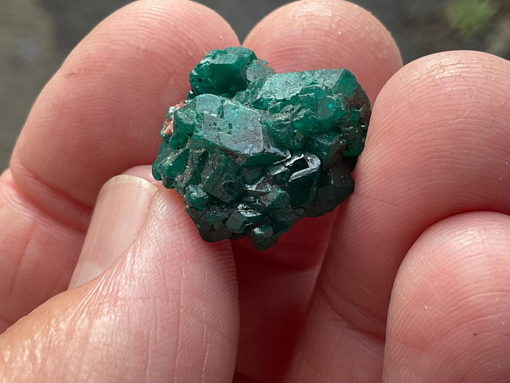 RESERVED FOR ASHRA ** 4g Congolese Dioptase Specimen A
