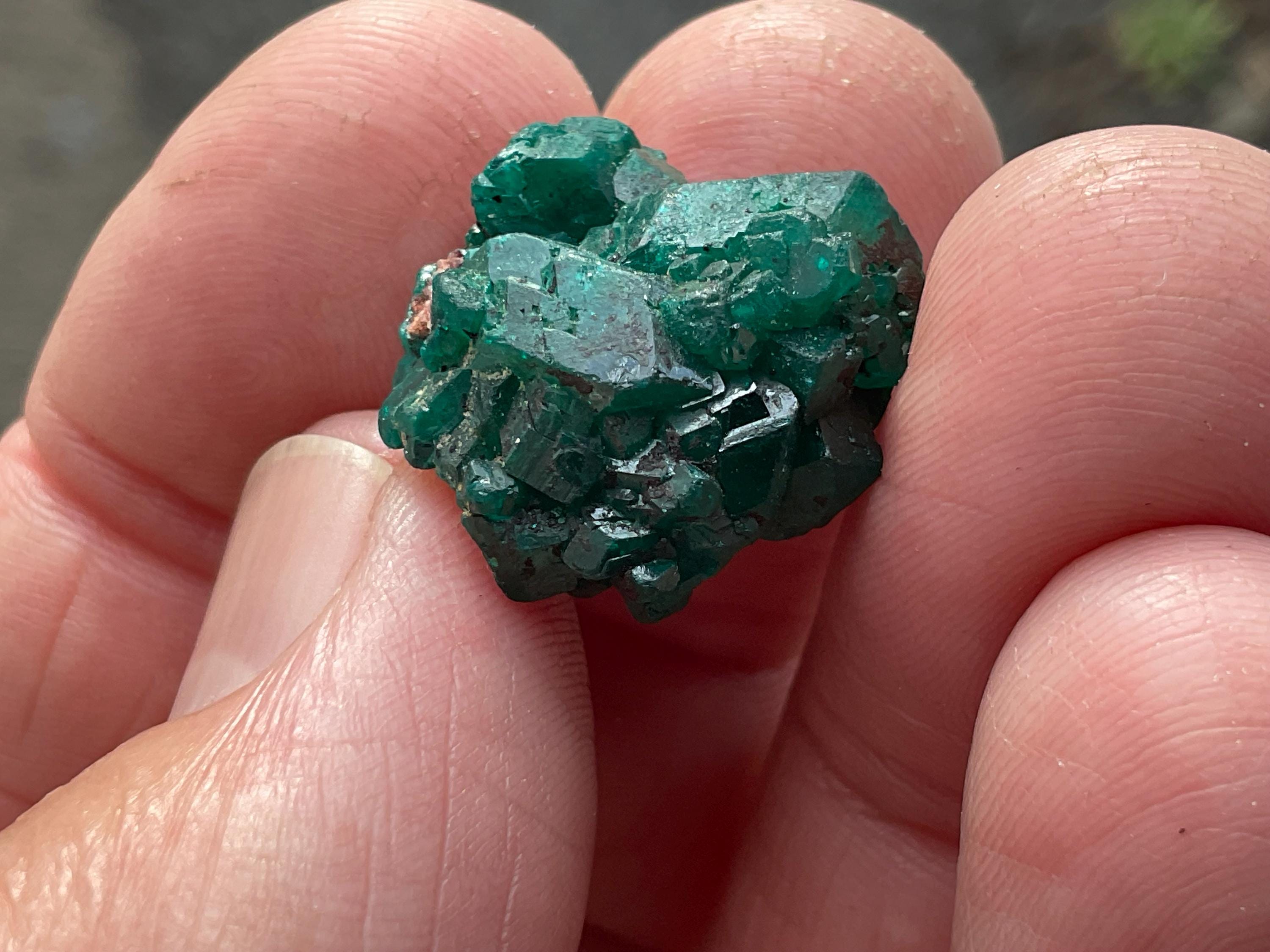 RESERVED FOR ASHRA ** 4g Congolese Dioptase Specimen A