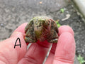 Unakite Small Carved Turtle Group 2
