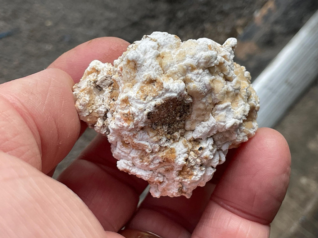 48g “Popcorn Selenite” Specimen 2A