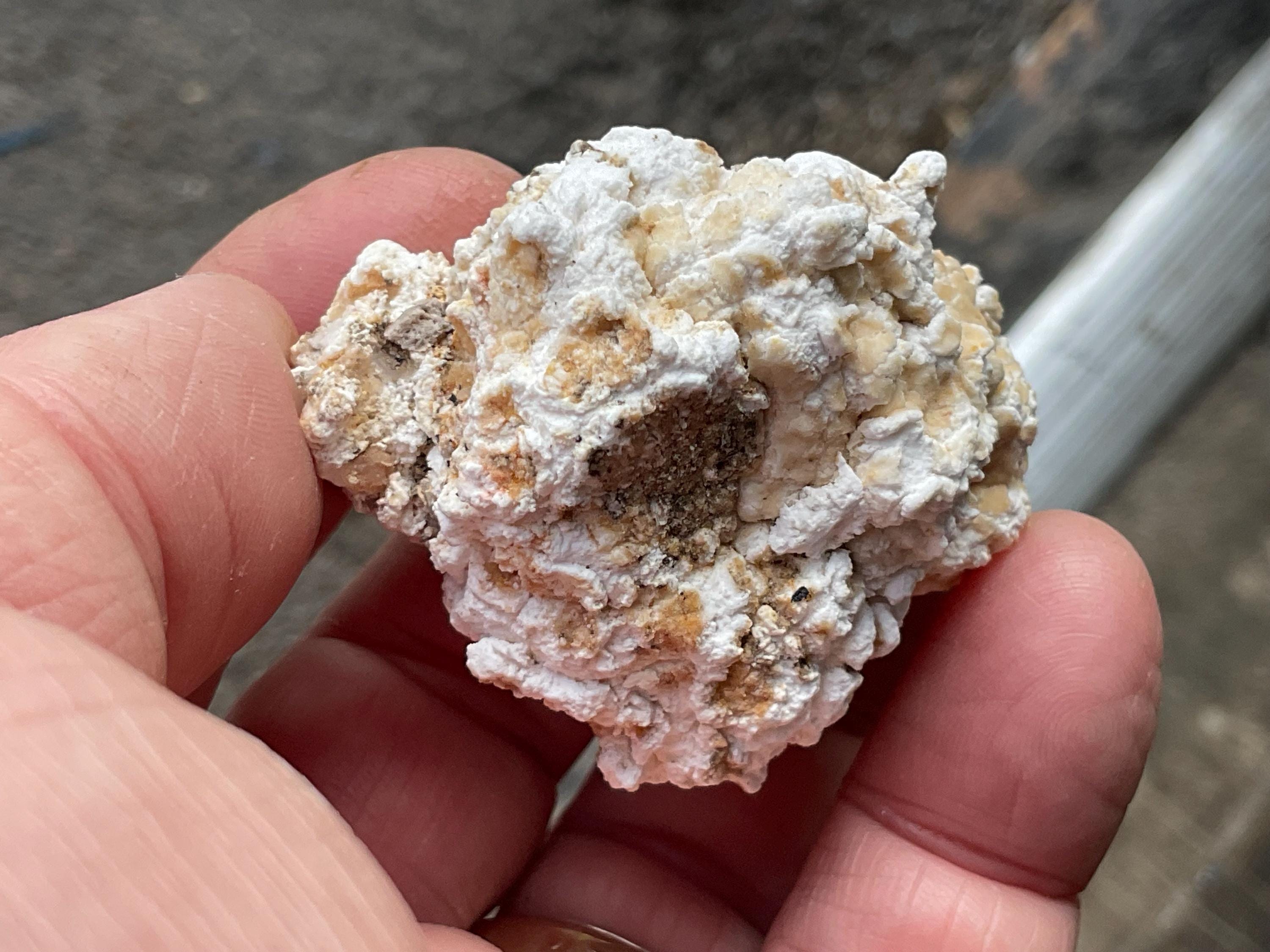 48g “Popcorn Selenite” Specimen 2A