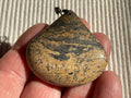 20g “Chinese Picture Jasper” Pendant C