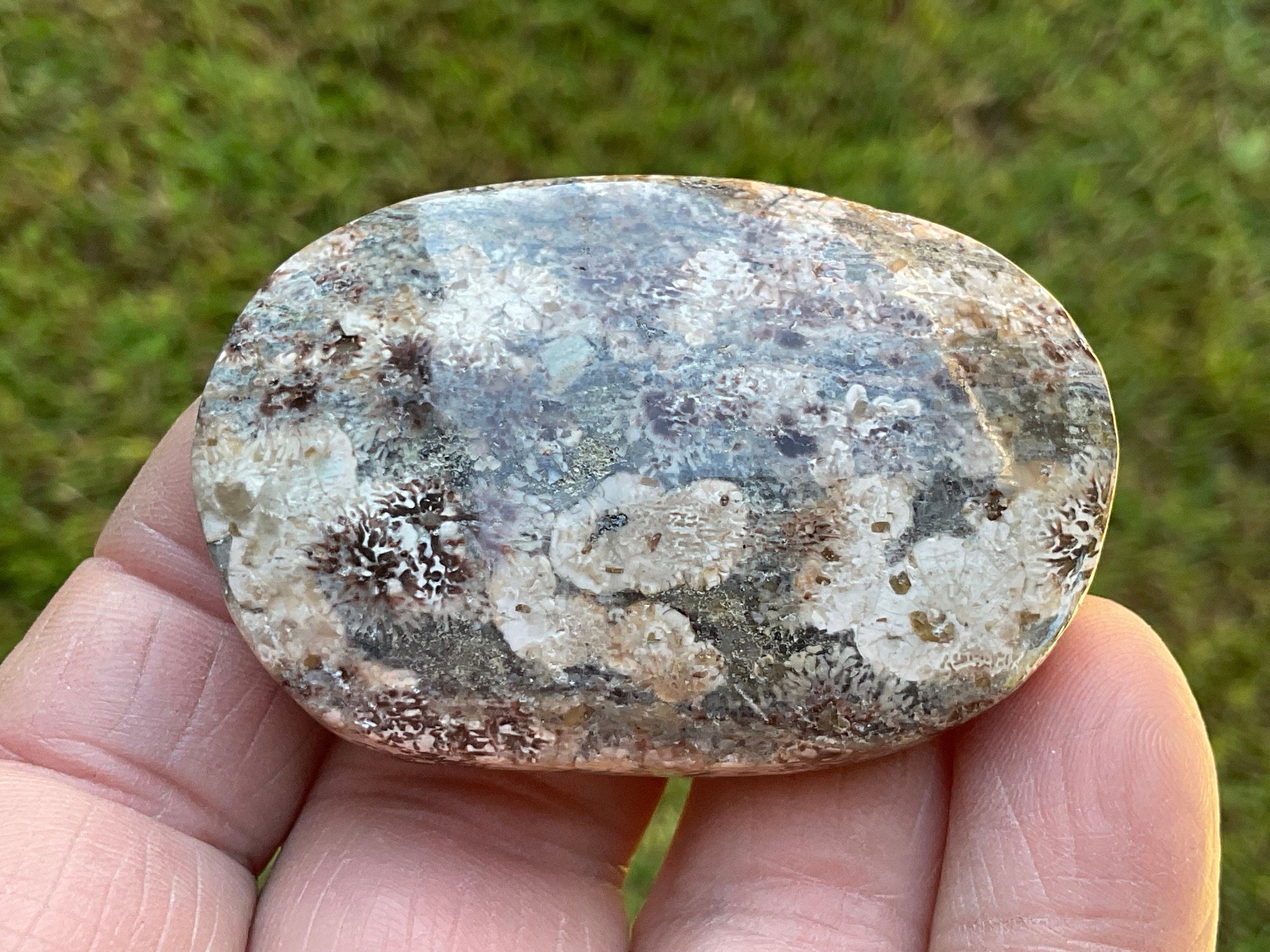 52g Green Cherry Blossom Jasper Palmstone 9B