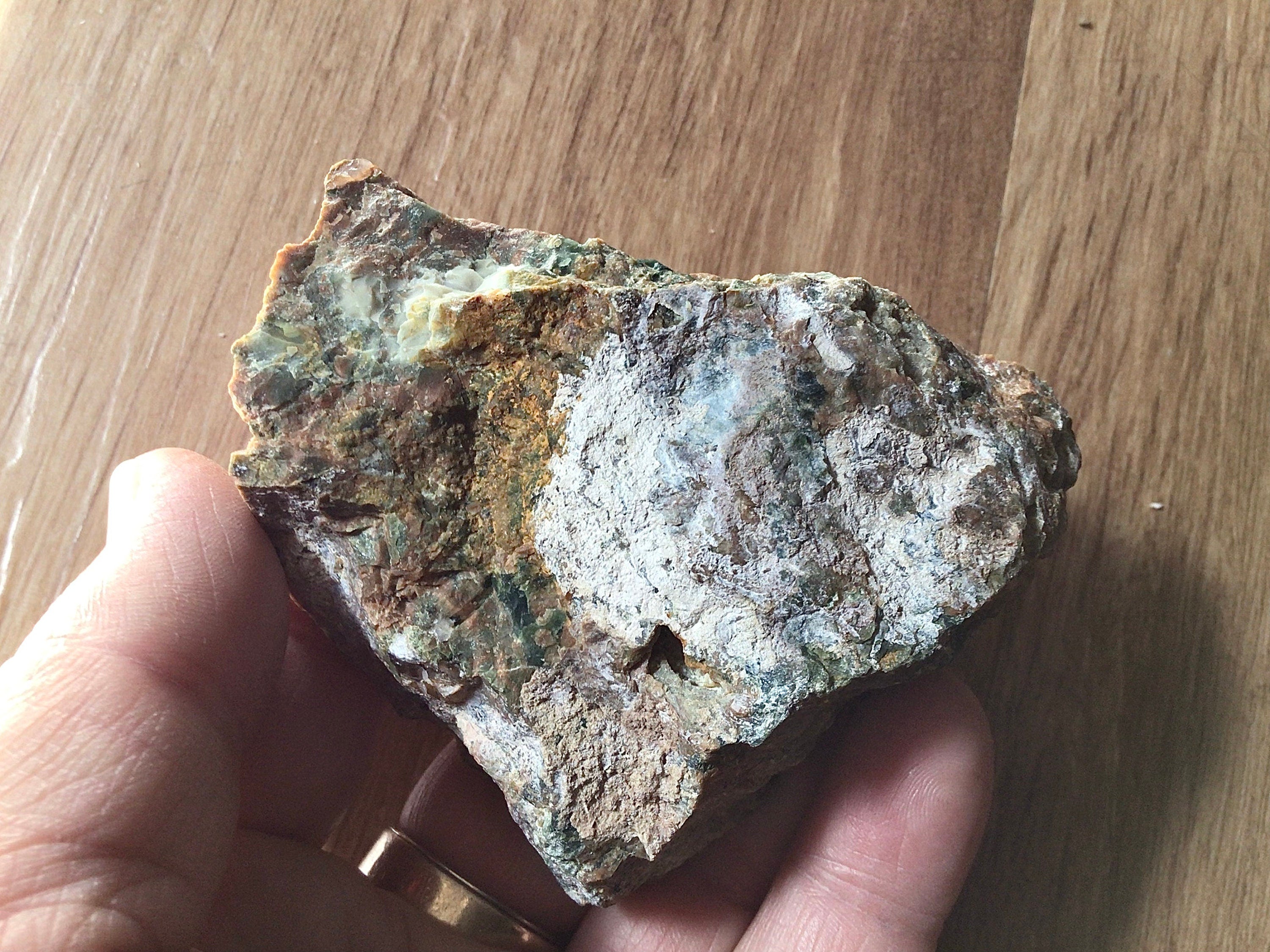 139g Mt Hay Rainforest Jasper Rough 4C