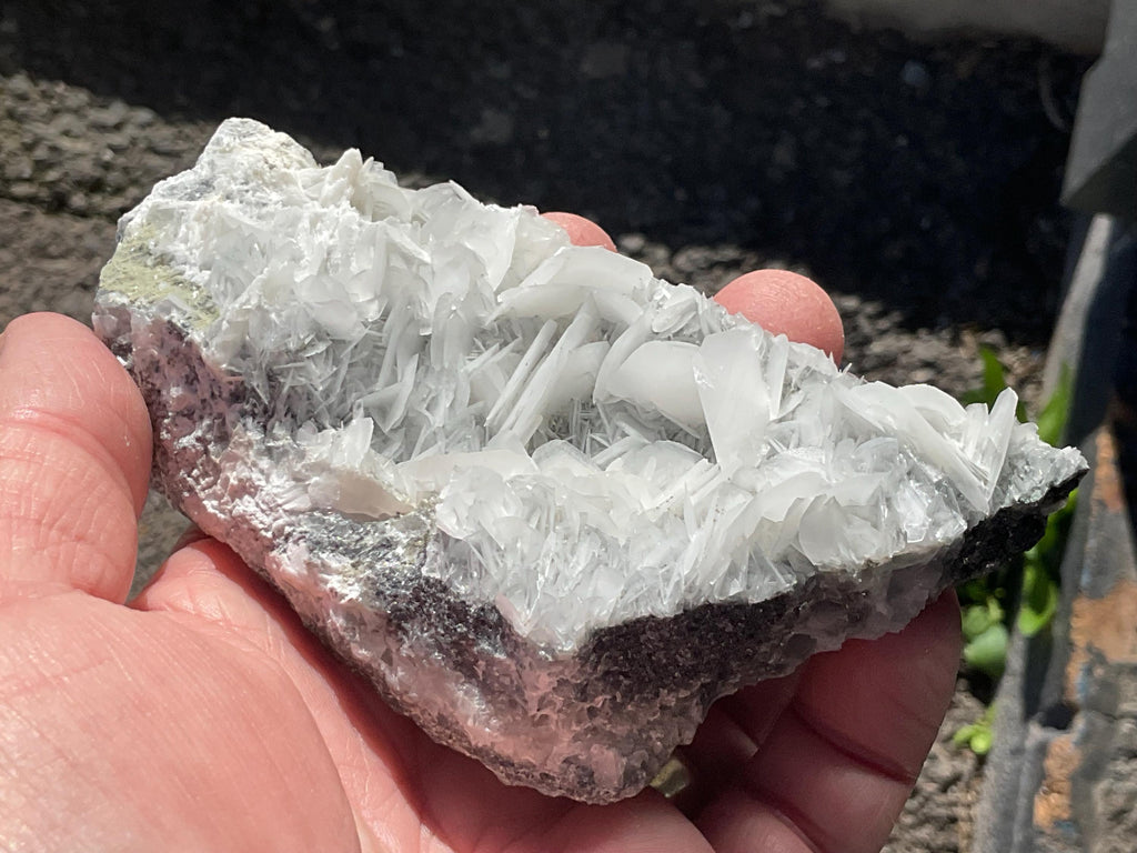 206g UV Reactive “Angel Wing” Calcite Specimen 1C