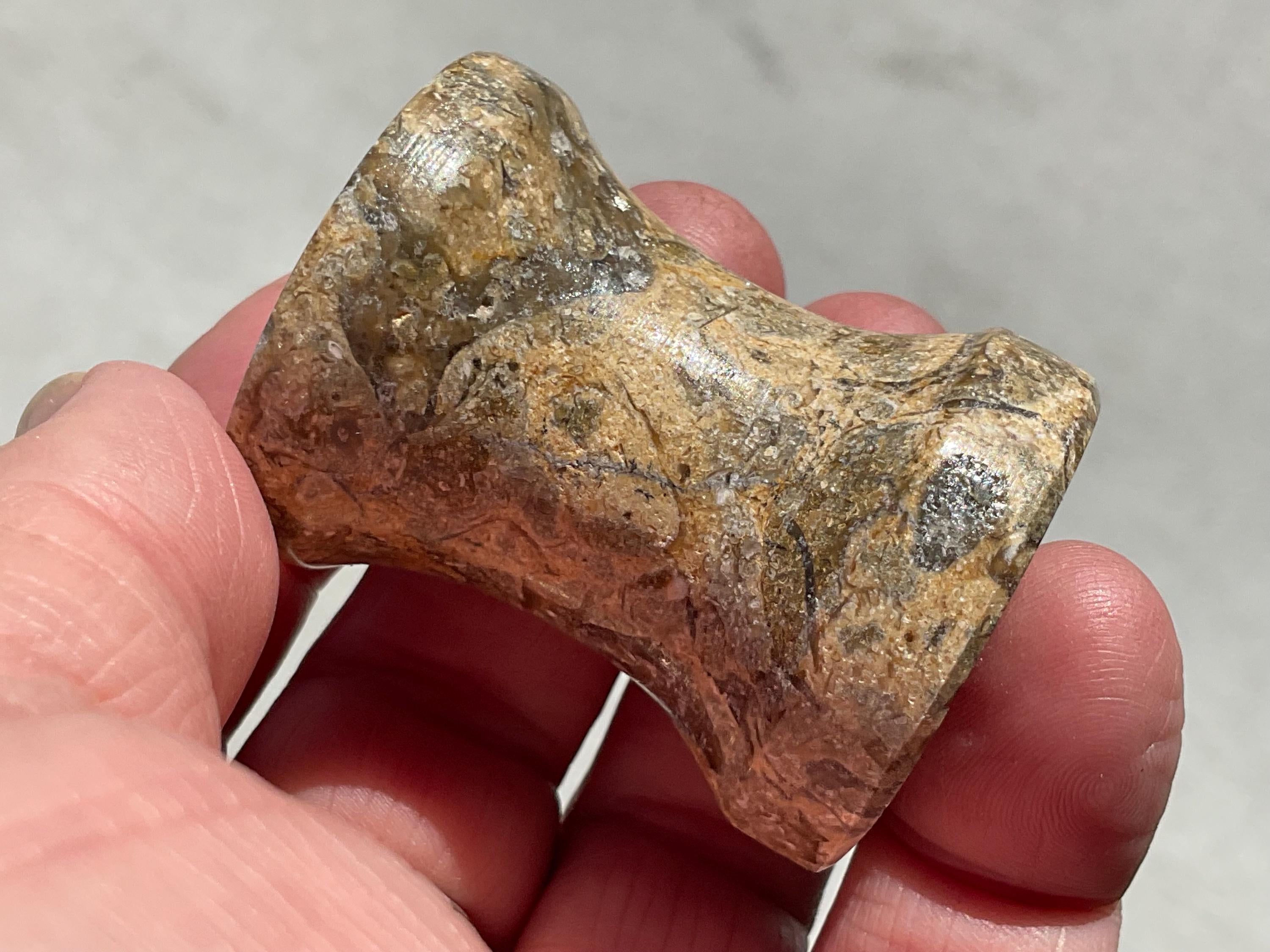 Fossilised Sea Bed Pedestal Sphere Stand 4A