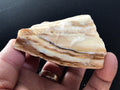 149g Natural Opalised Wood Rough Piece 5C