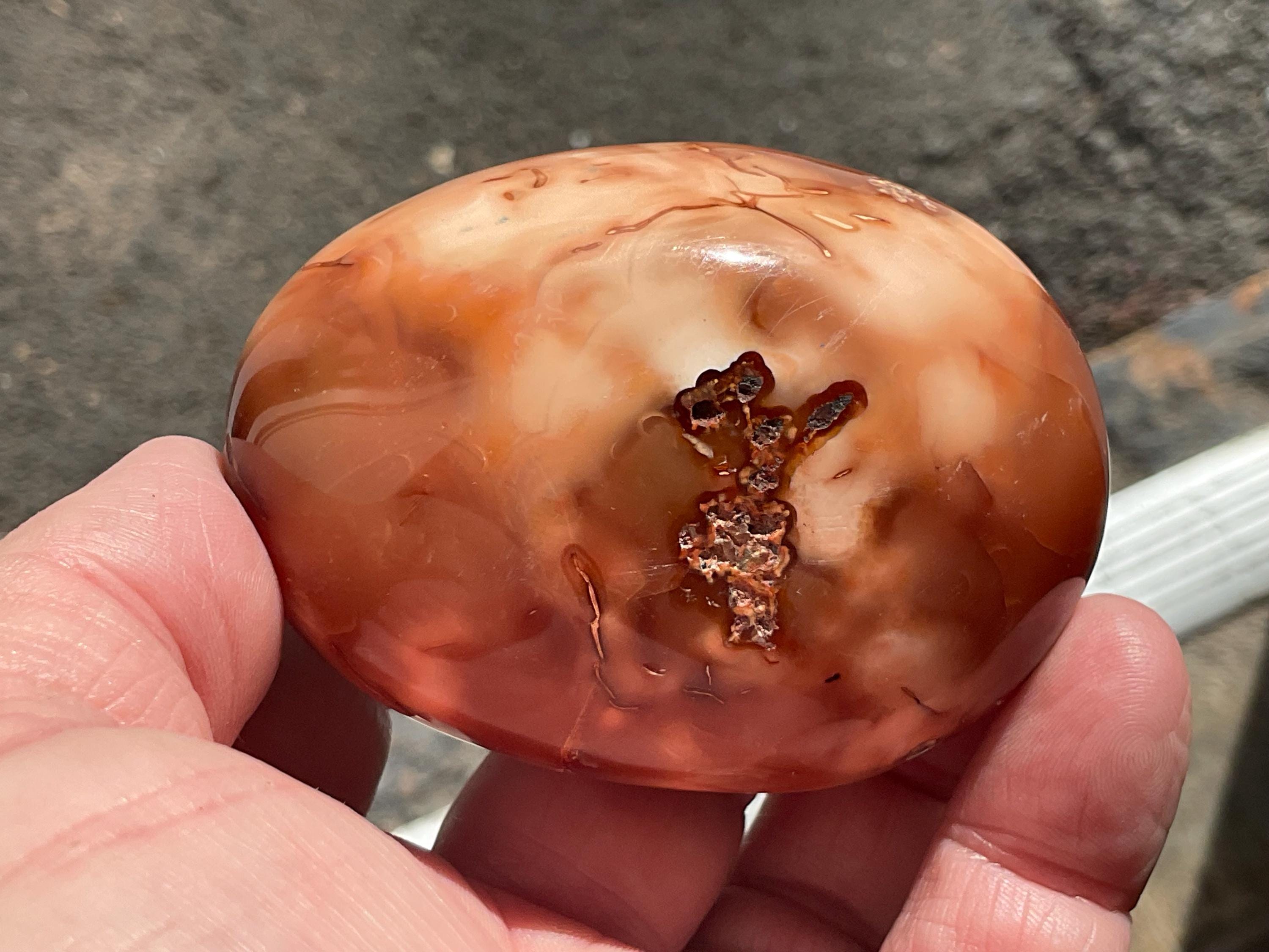 186g Carnelian Orca Agate Palmstone 7C
