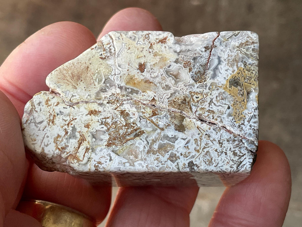 100g Mexican Crazy Lace Agate Freeform 20B