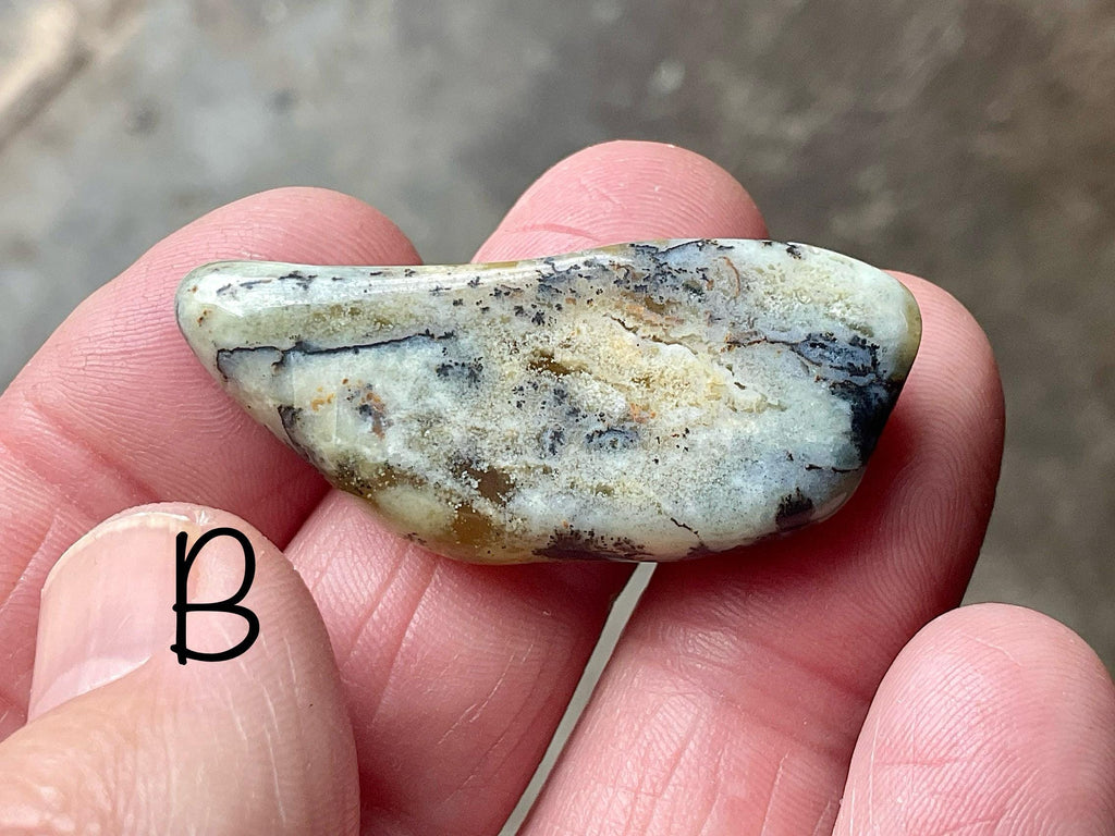 Yellow/Green Western Australian Dendritic Opalite Flat Stone Group