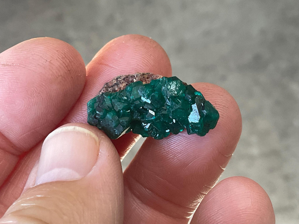 4g Congolese Dioptase Specimen 5A