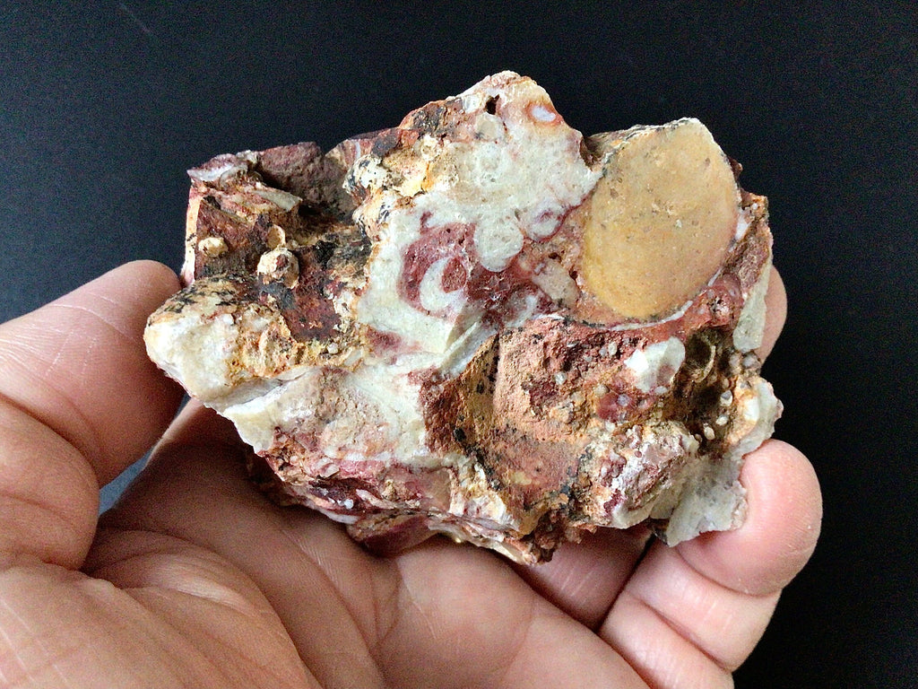 188g Oncolite Rough Piece 4B