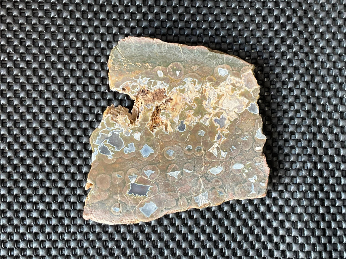 326g Mt Hay Rhyolite (Amulet Stone) Unpolished Slab